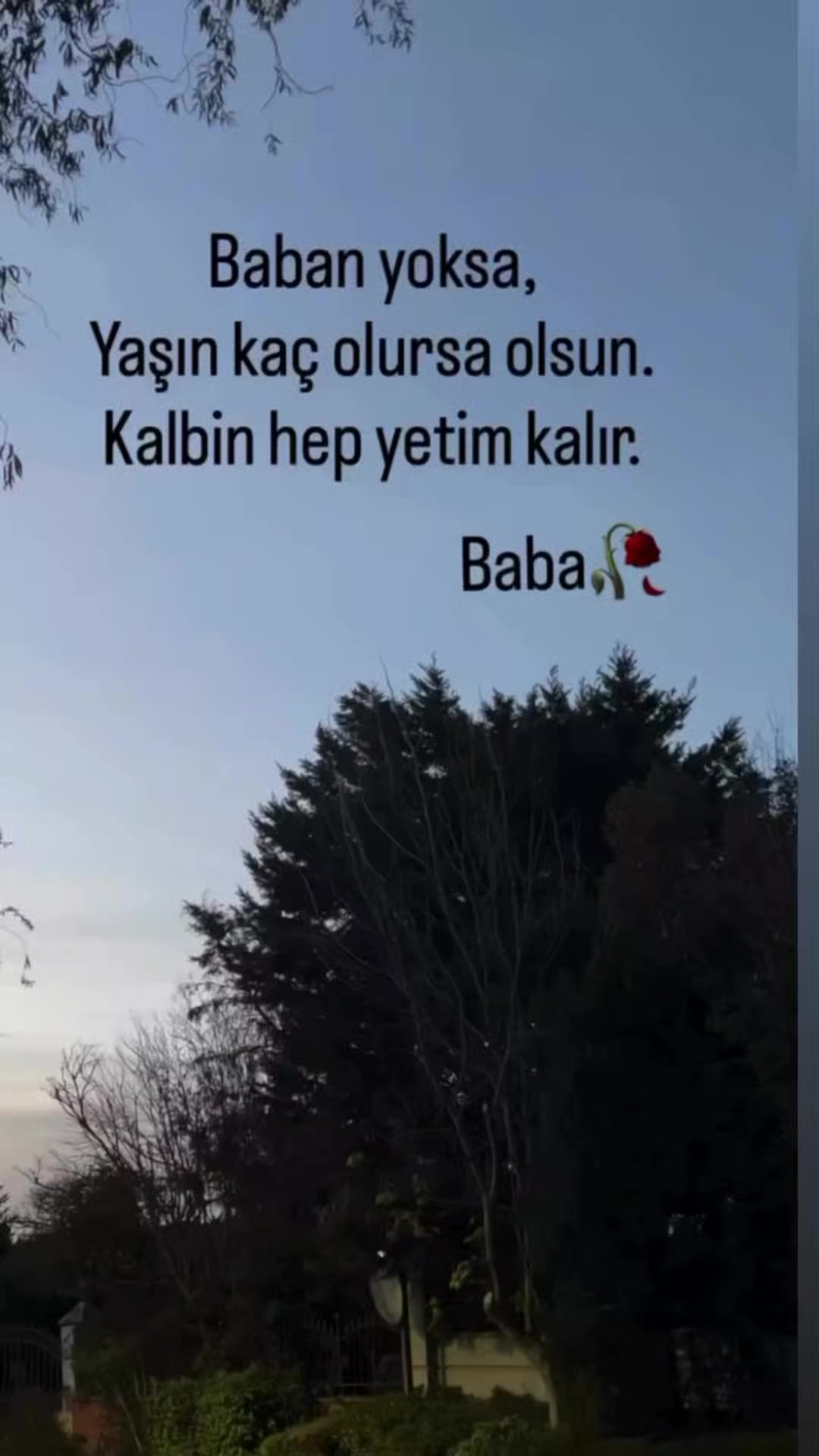 @yakup efe ata