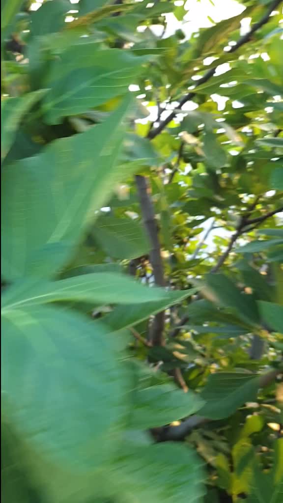 @user4826495793287