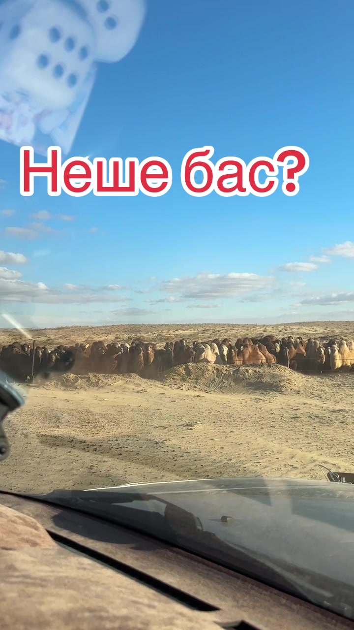 @Нұржан Ардана