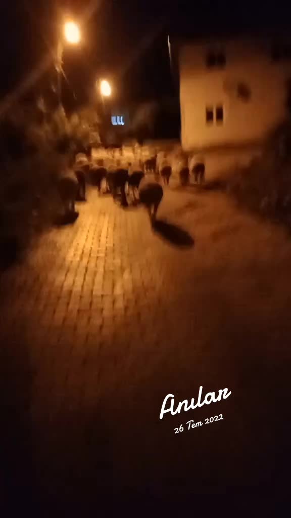 @Erkut Polat