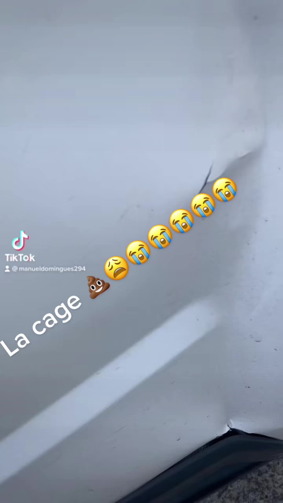 @#manedom360