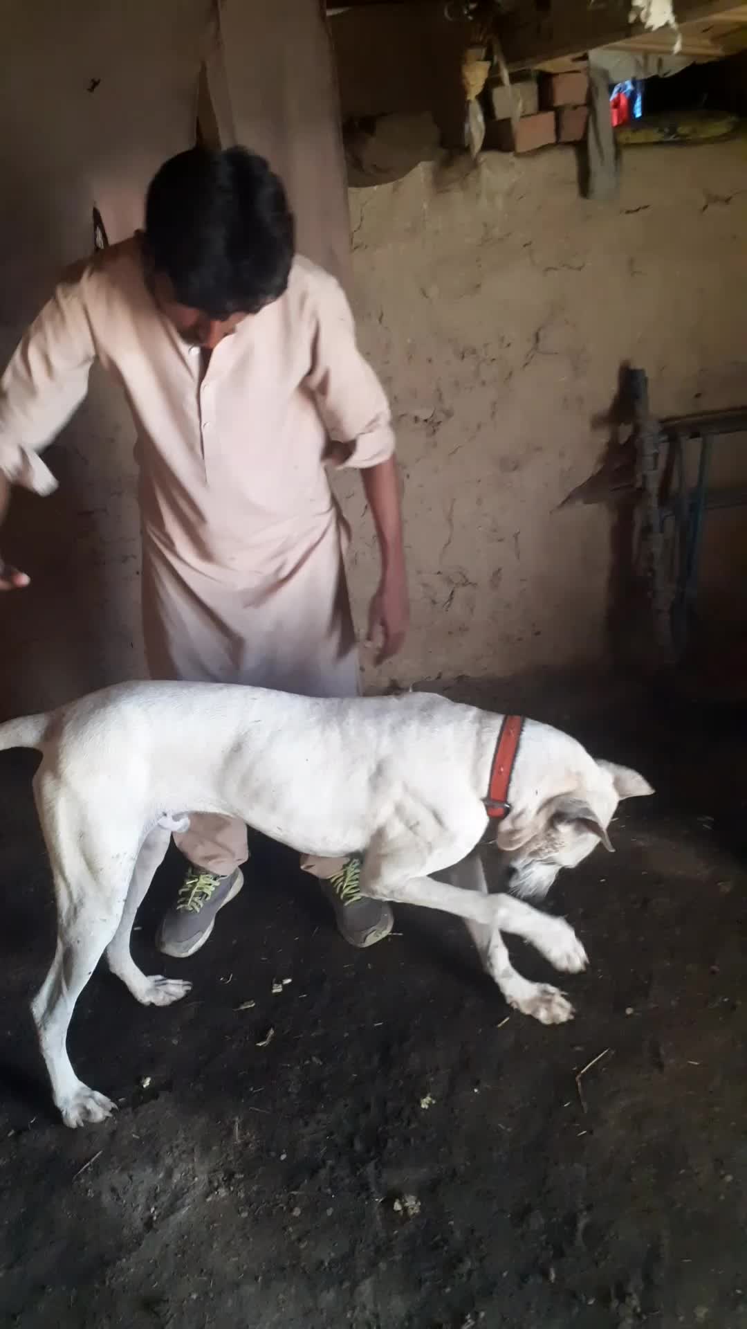 @zain Ali Singer lòonia wala @