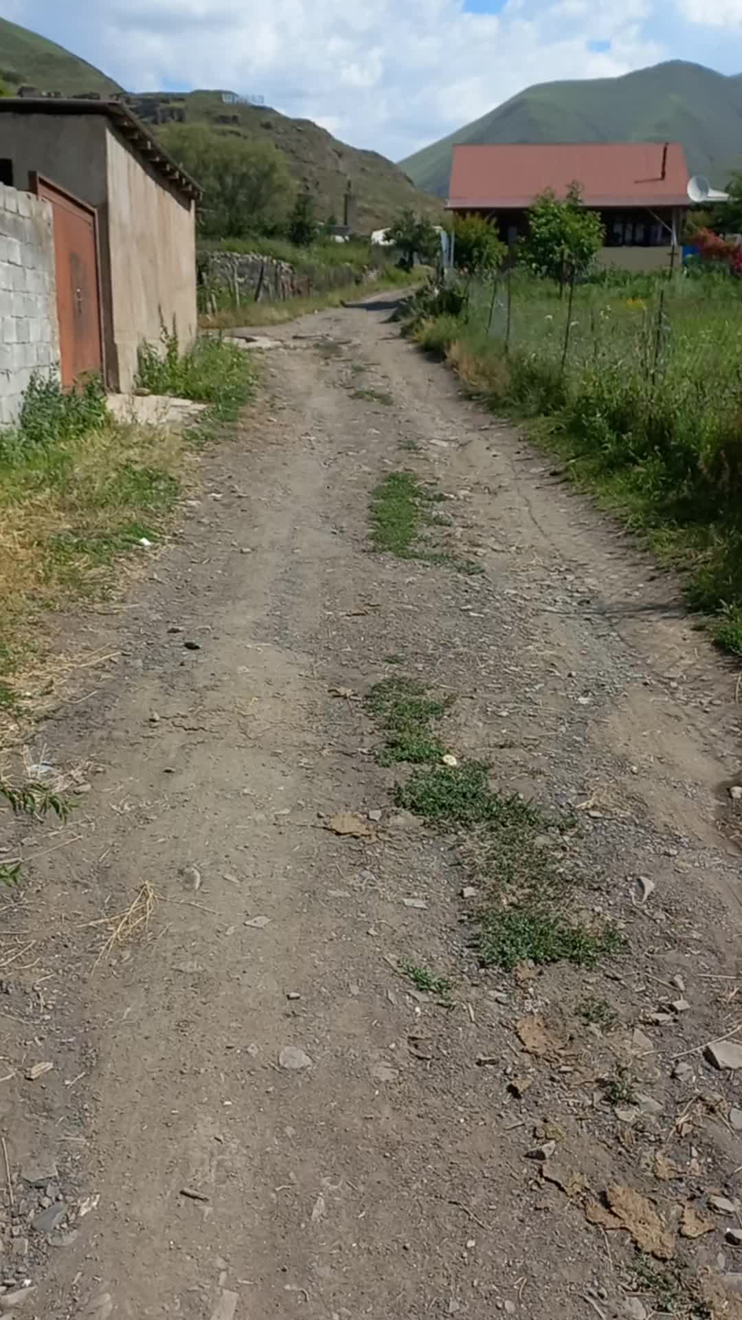 @Альбина Алиева