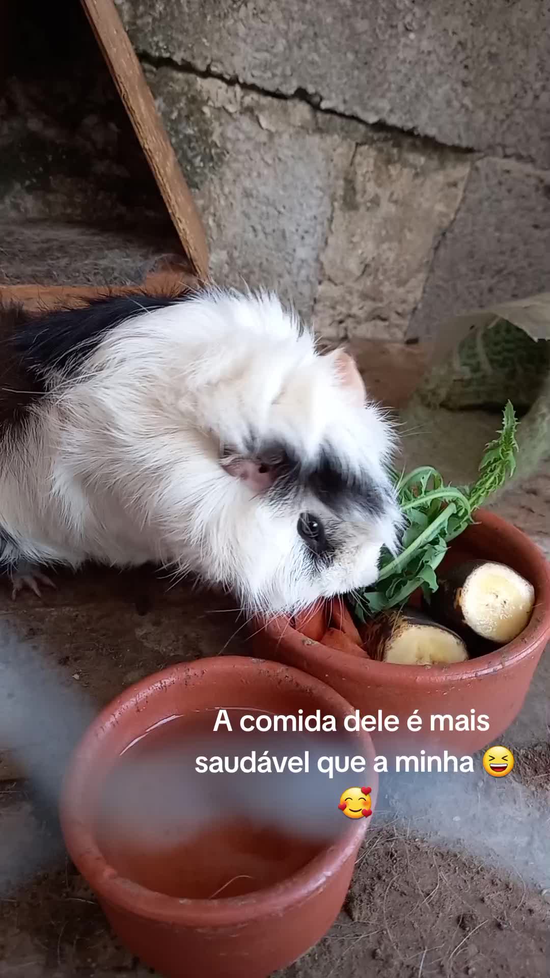 @Jennifer Abreu Pedroso