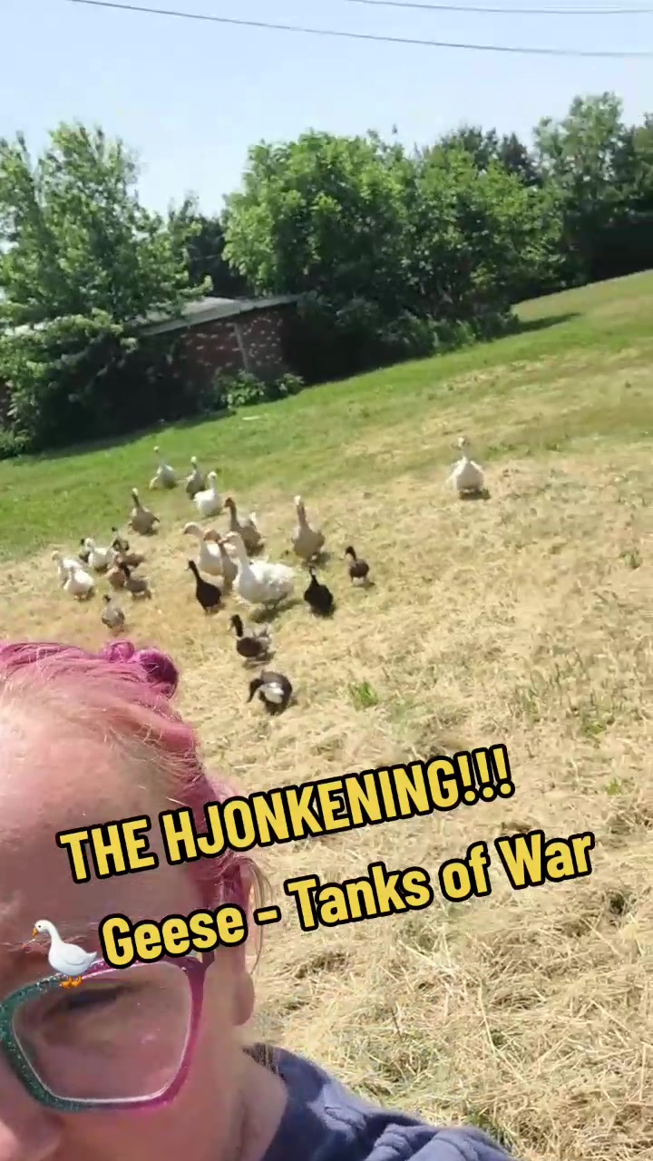 @Karnes Ranch of Indiana🦆