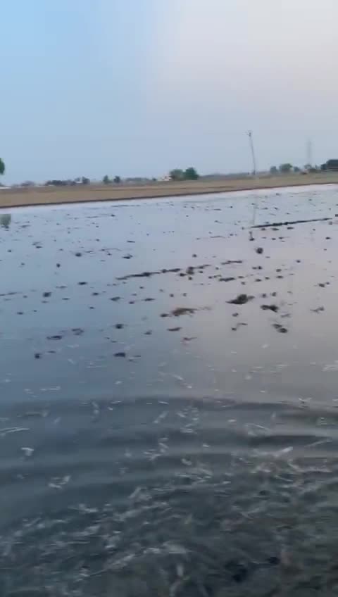 @jagjeet singh2626