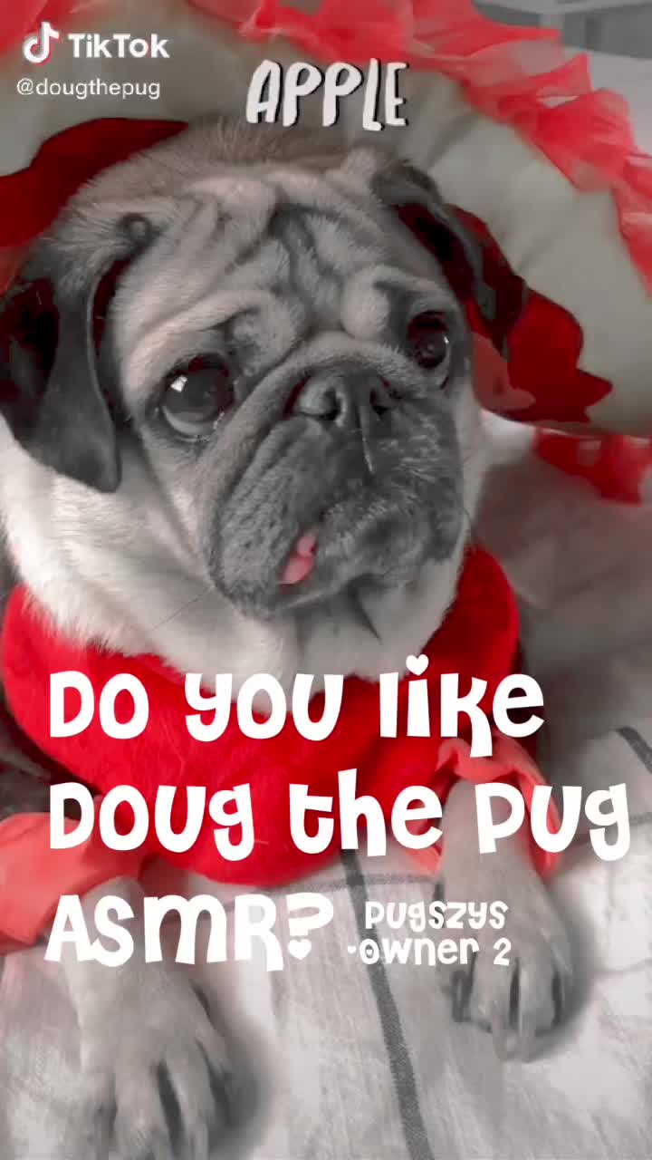 @Pugszys