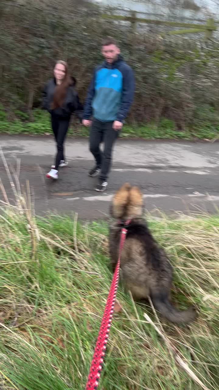 @TheGSDhubwithjennygould