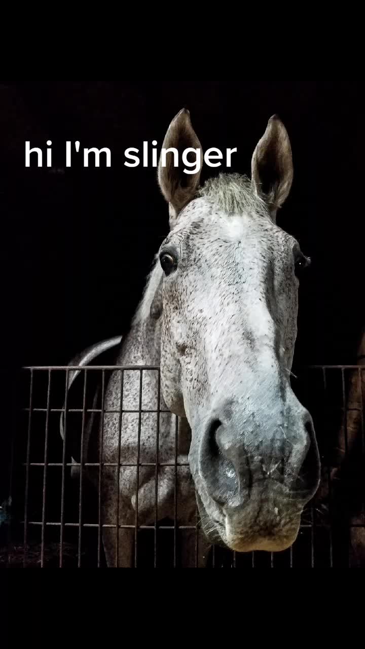 @Nikki