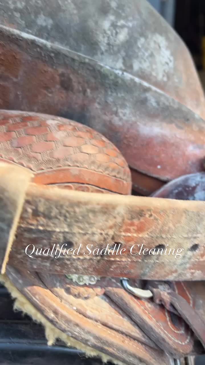 @Qualified Saddle Cleaning