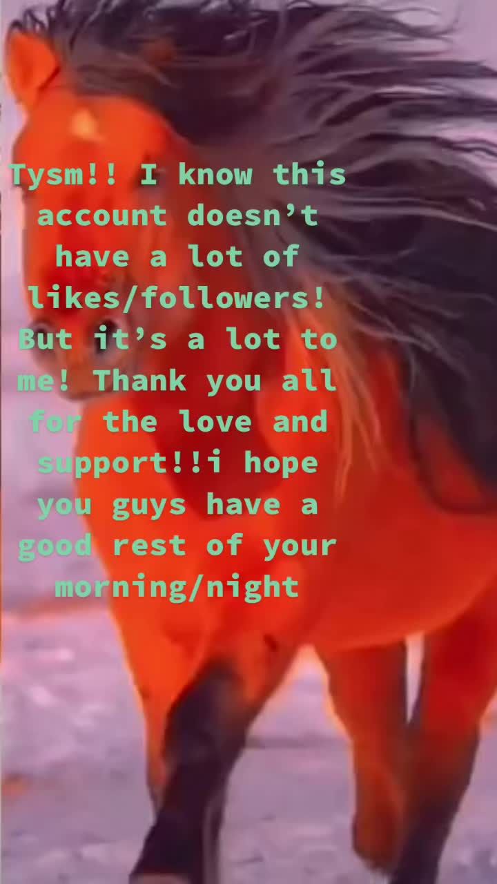 @🏇🏻 нorѕe rιdιng 🏇🏻