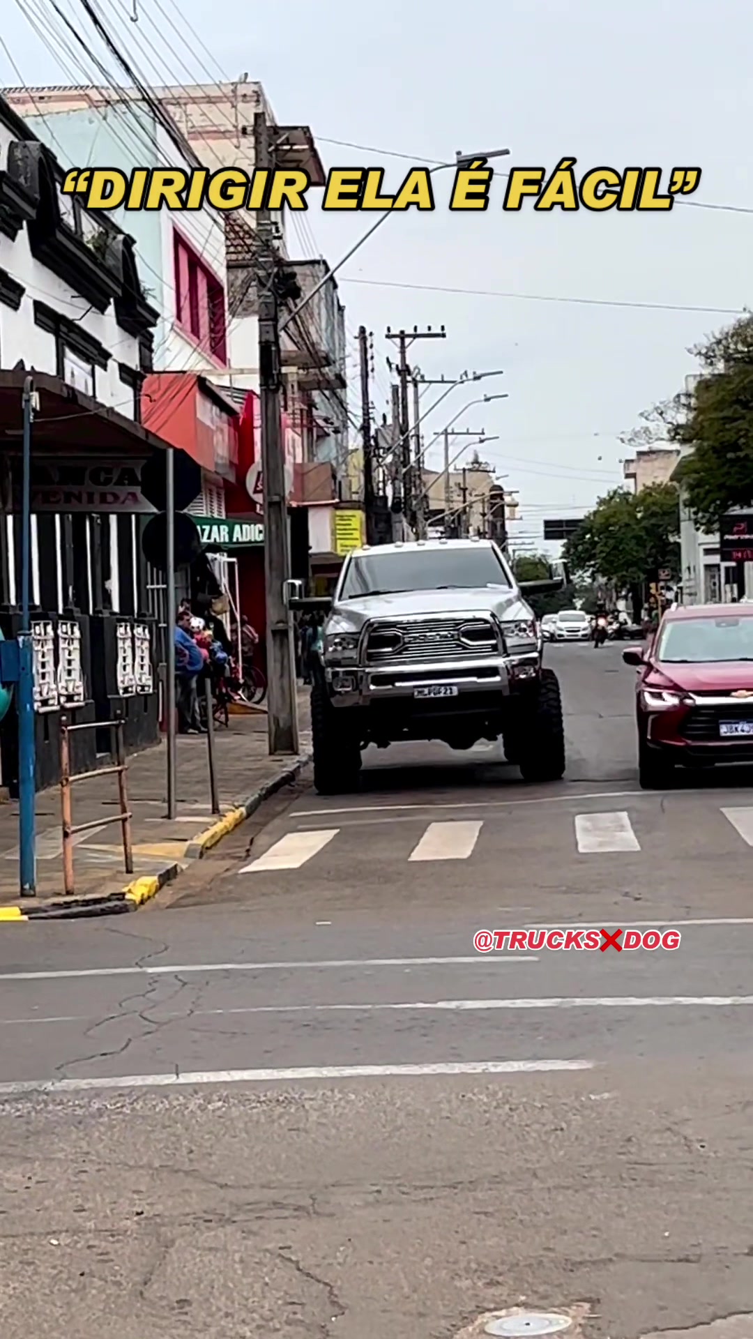 @TRUCKS///DOG