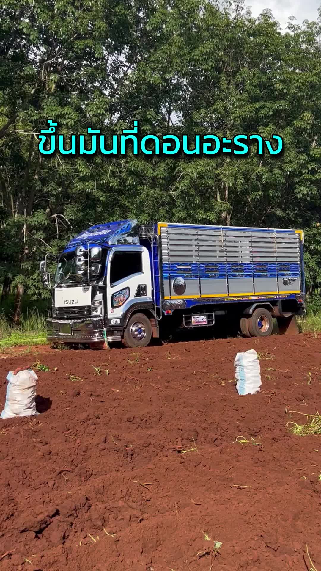 @Truckกับออย