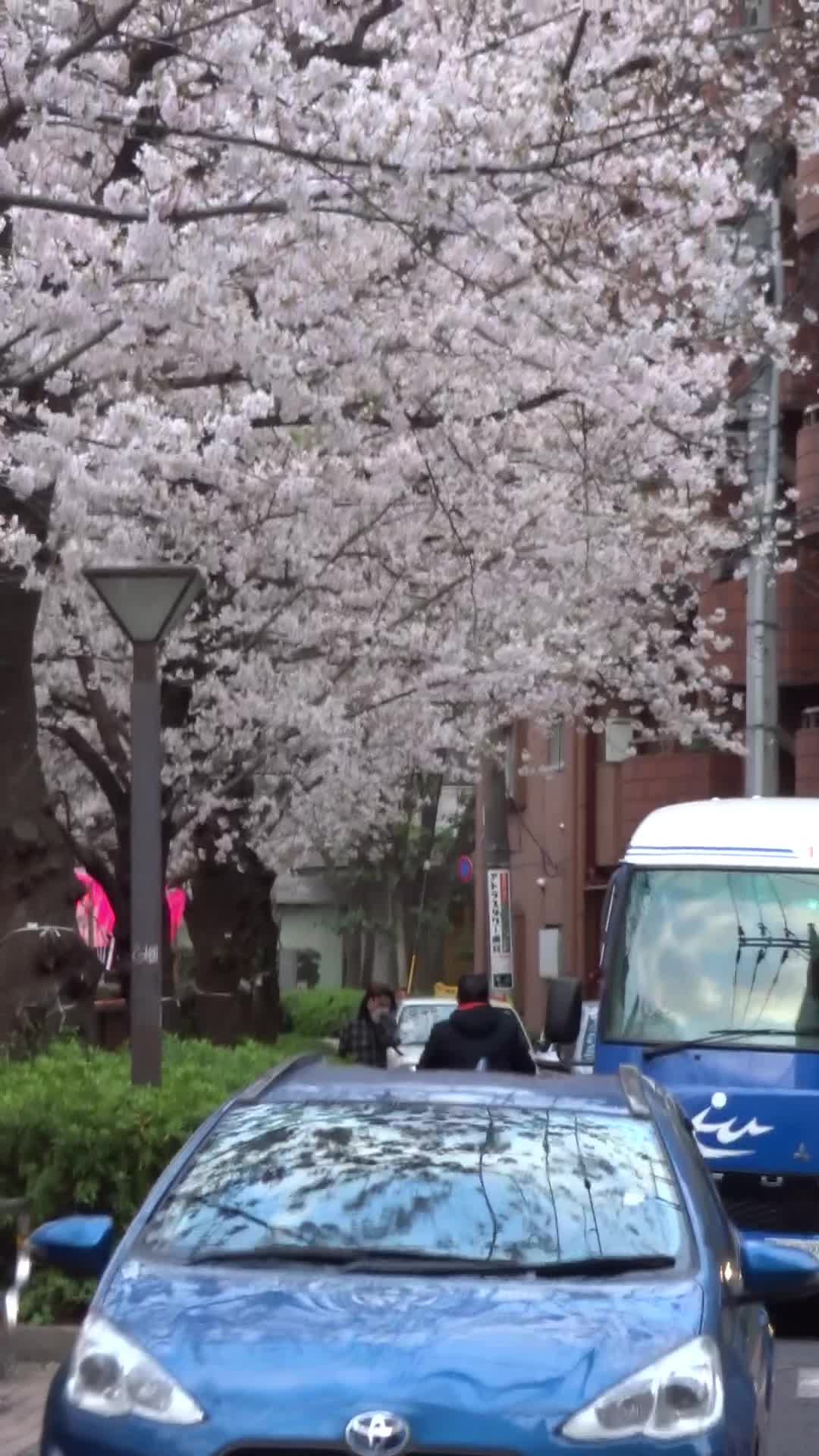 @omoide