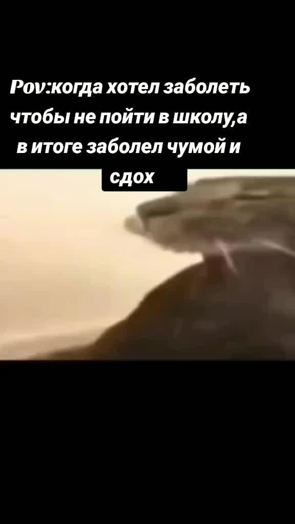 @Xeno