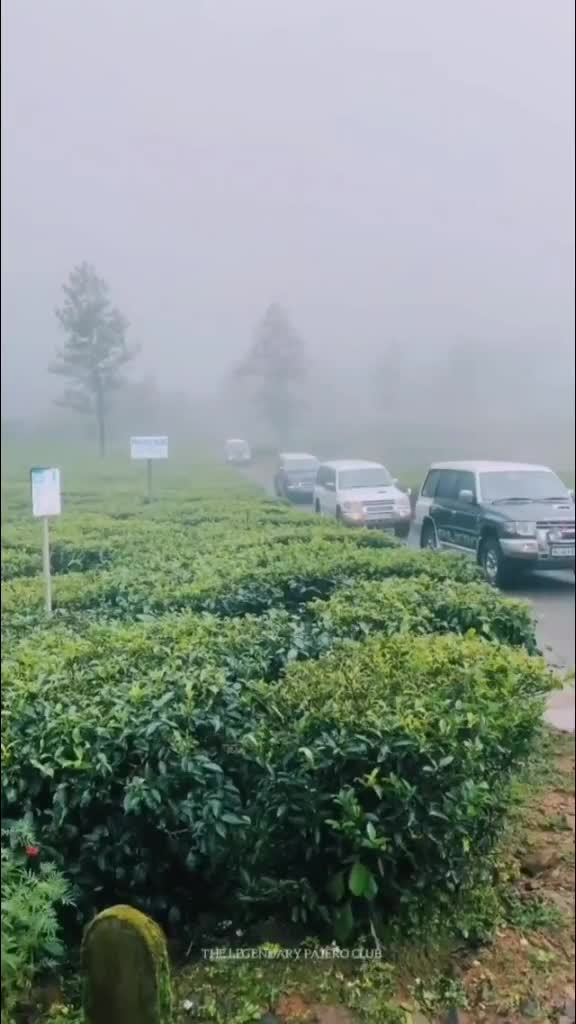 @Ameerkn7