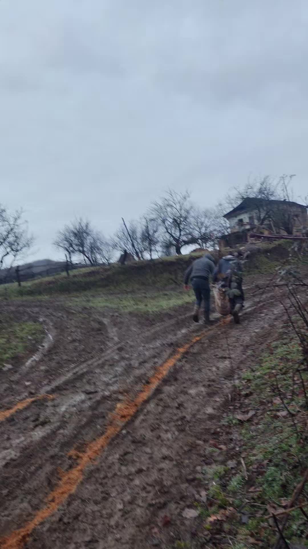 @Elşən_ət dükani