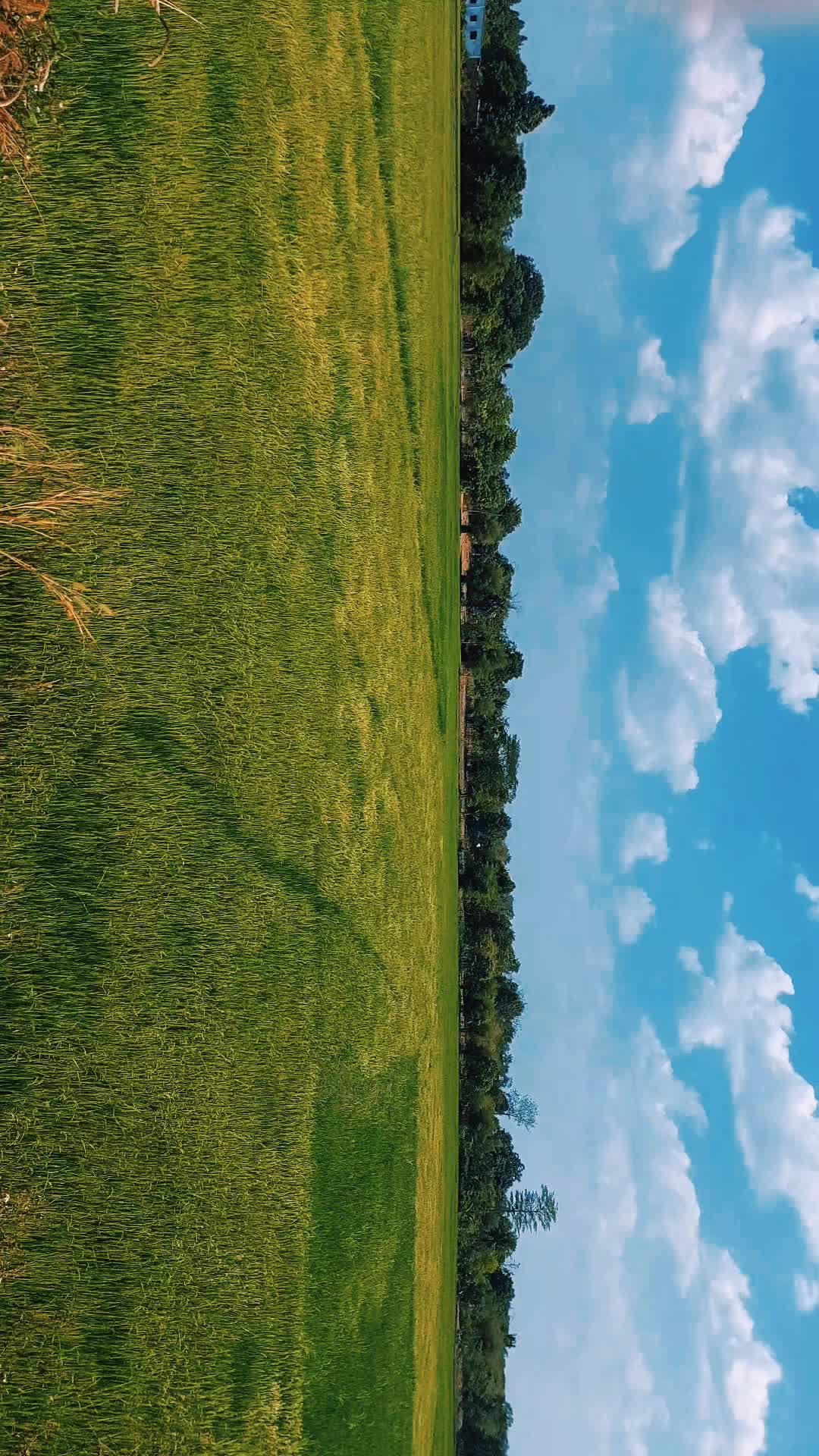 @peaceforyou🌻🌻🌻