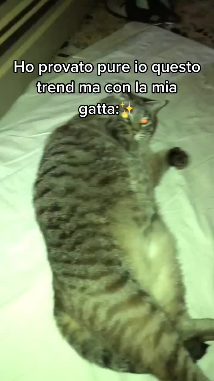 @i.m.asja