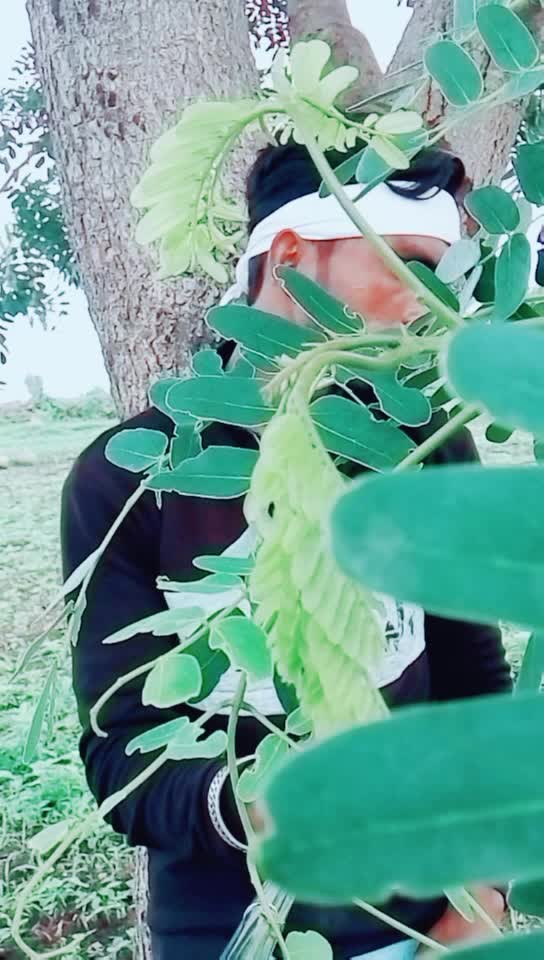 @💠💠Banjara Tigar💠?