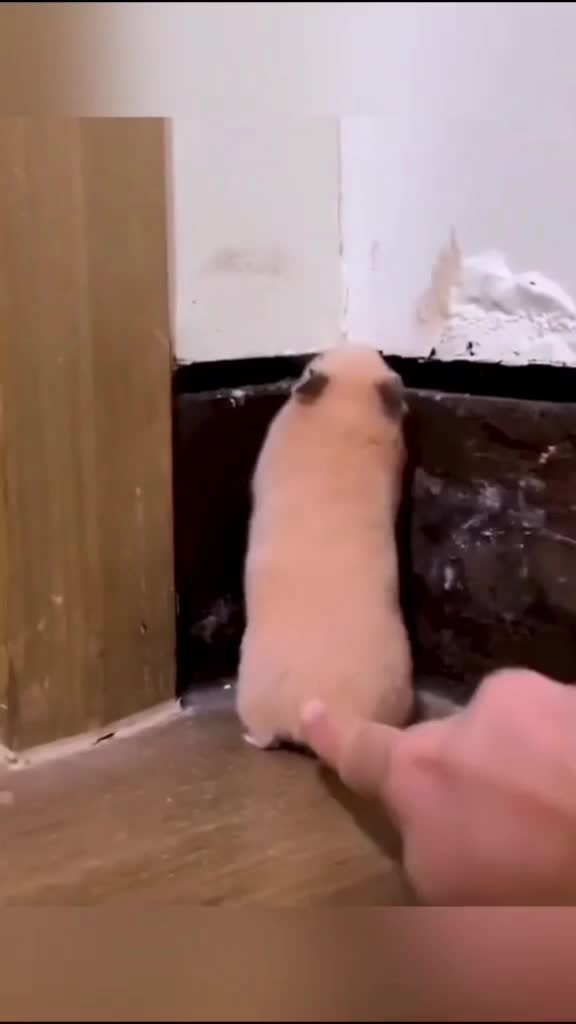 @𝓐𝓷𝓭𝓻𝓮𝓮𝓪 𝓐𝓯𝓽𝓮𝓷𝓮