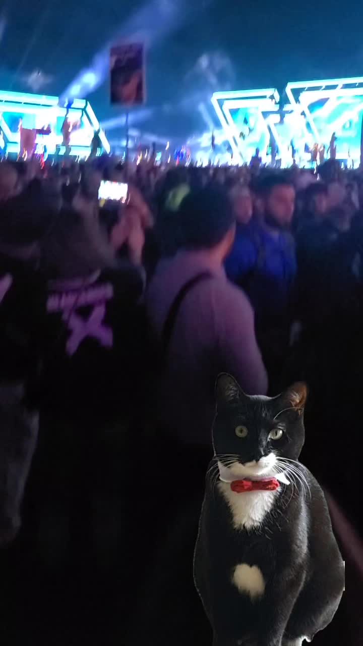 @MrPickles