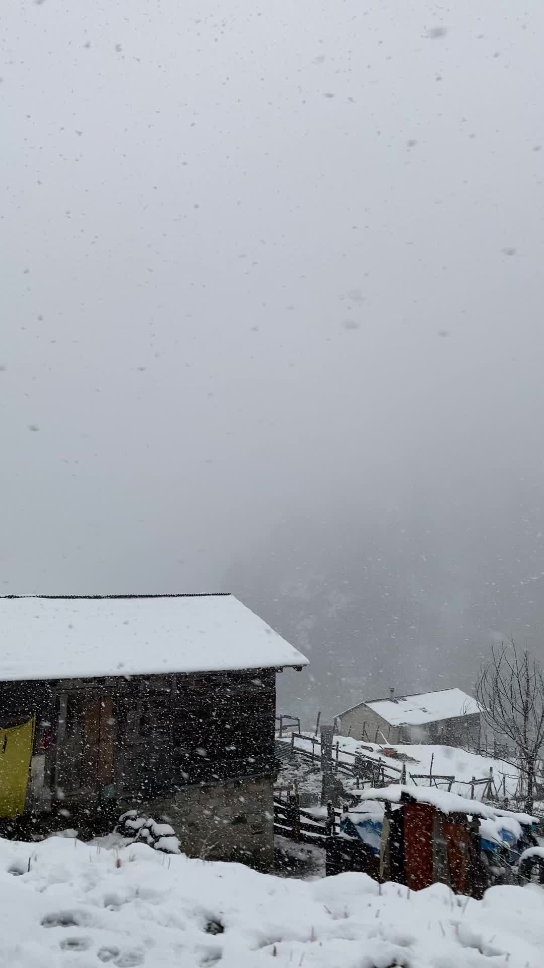 @Naci Demirkan