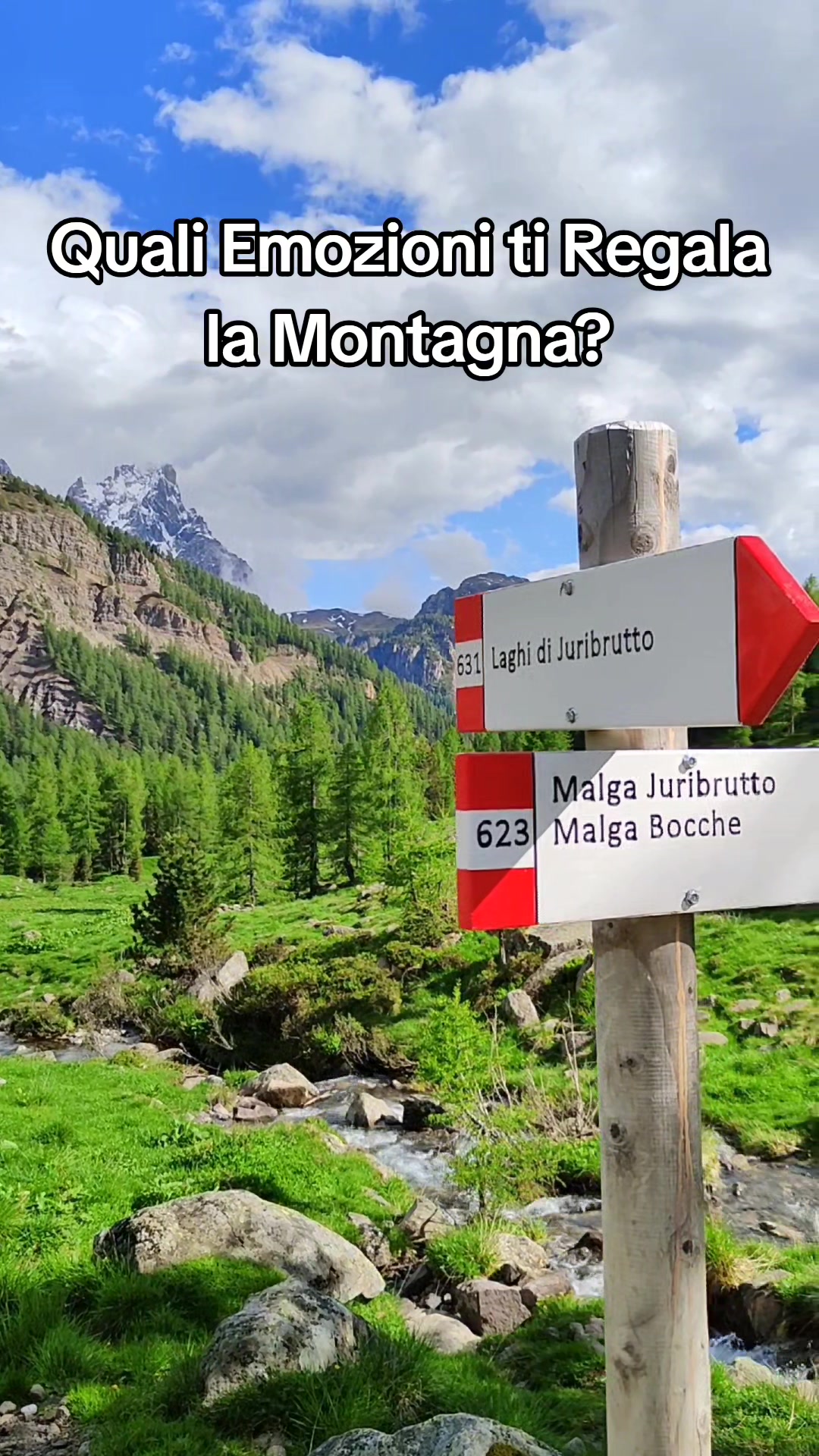 @Montagna Estate