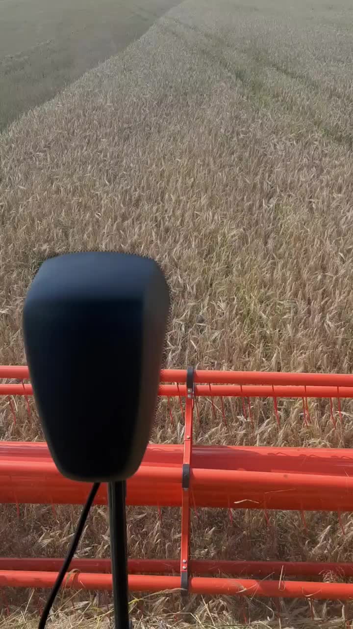 @Олег Гаврилов