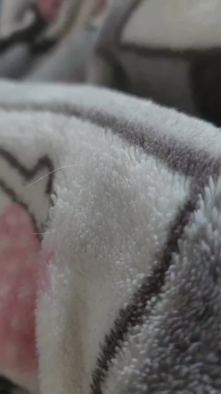 @Alineko