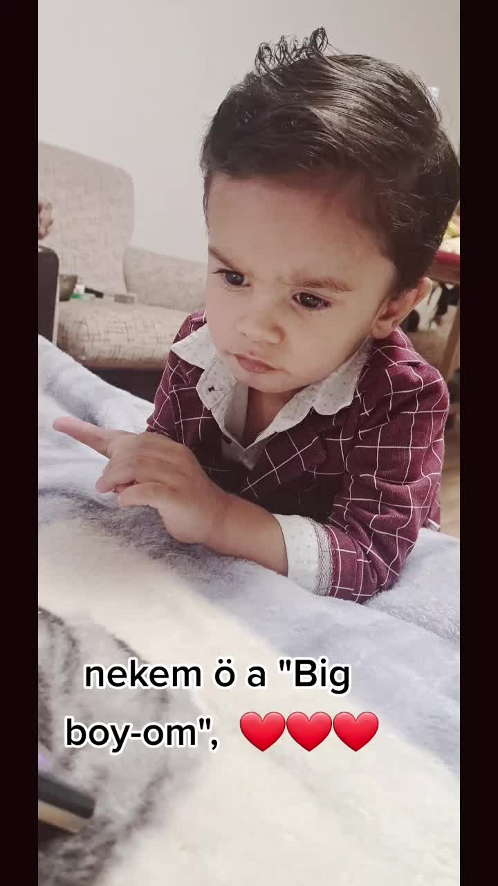 @👑✨️WECA✨️👑