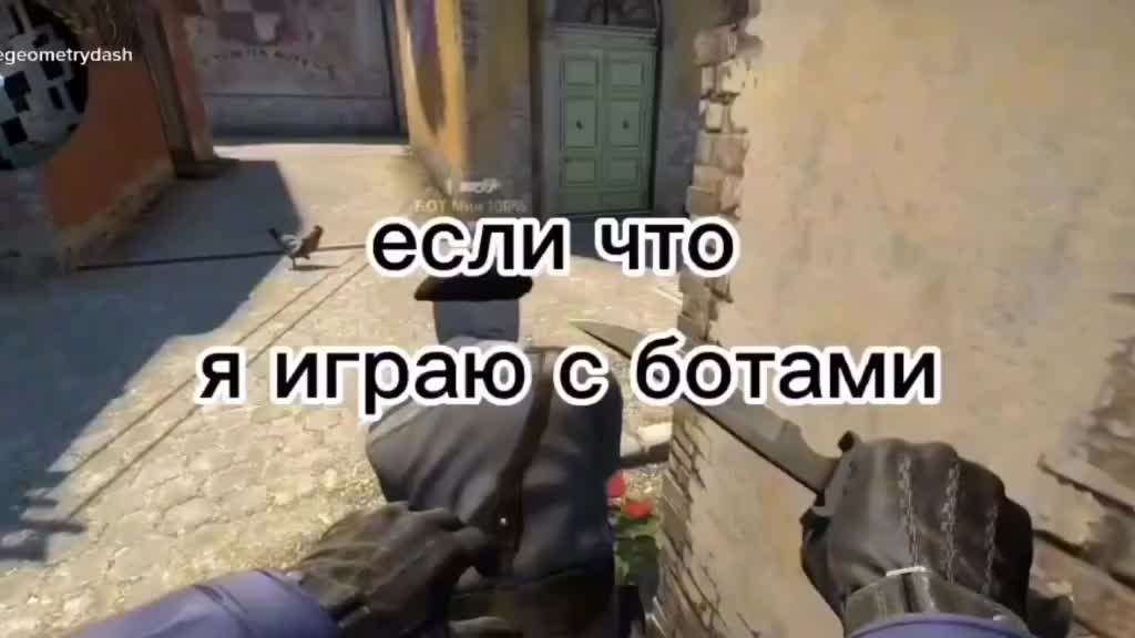 @питорка