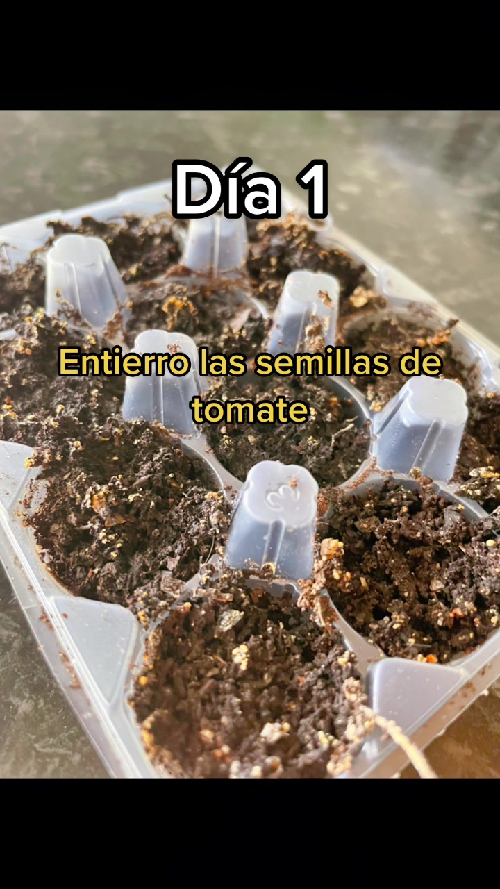@J.Linares