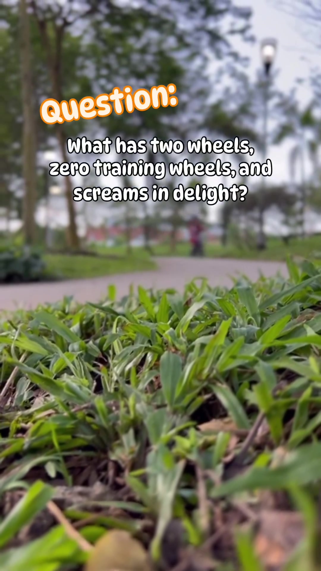 @Balance Bike SG