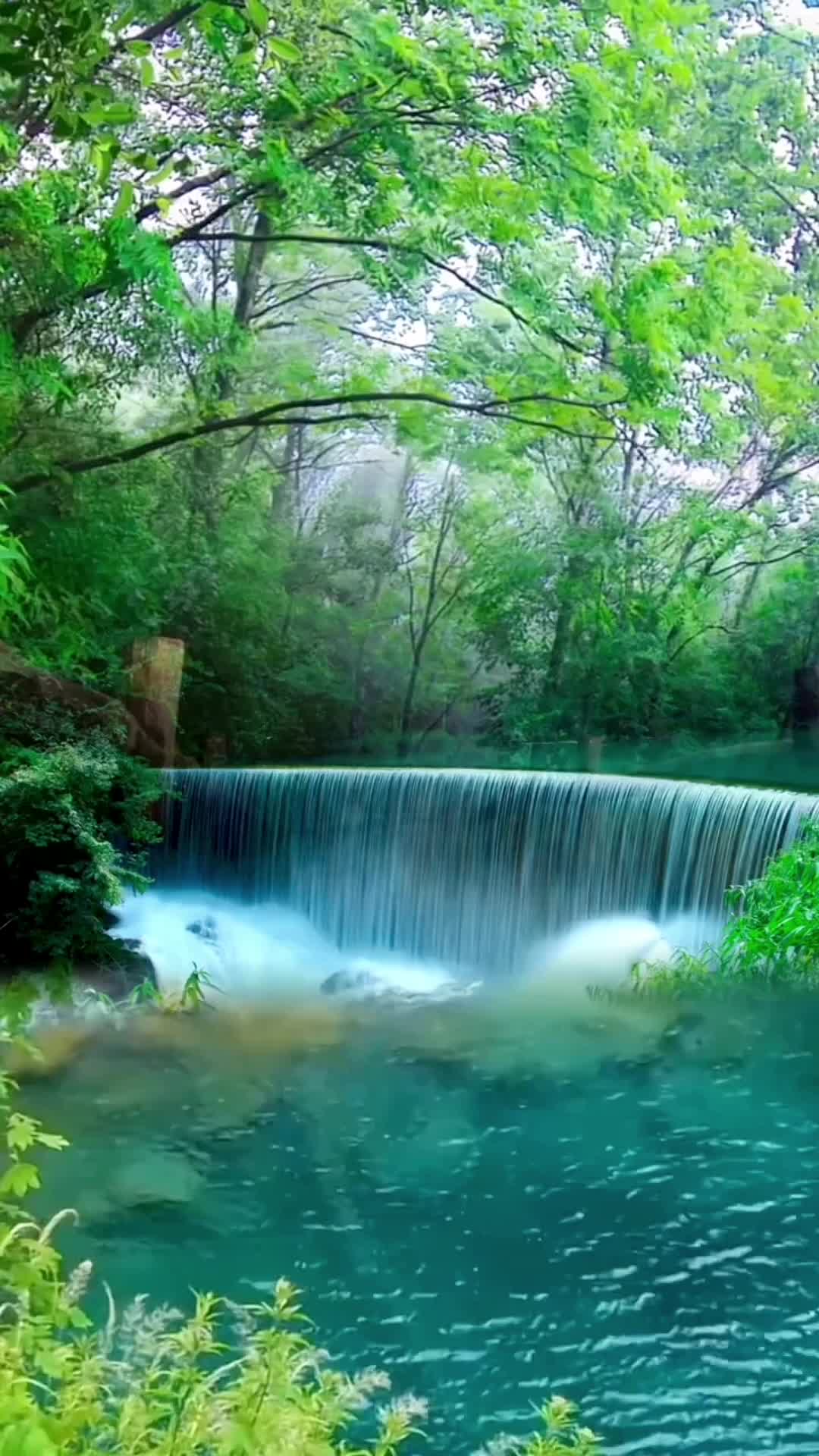 @HDFEFKNLF