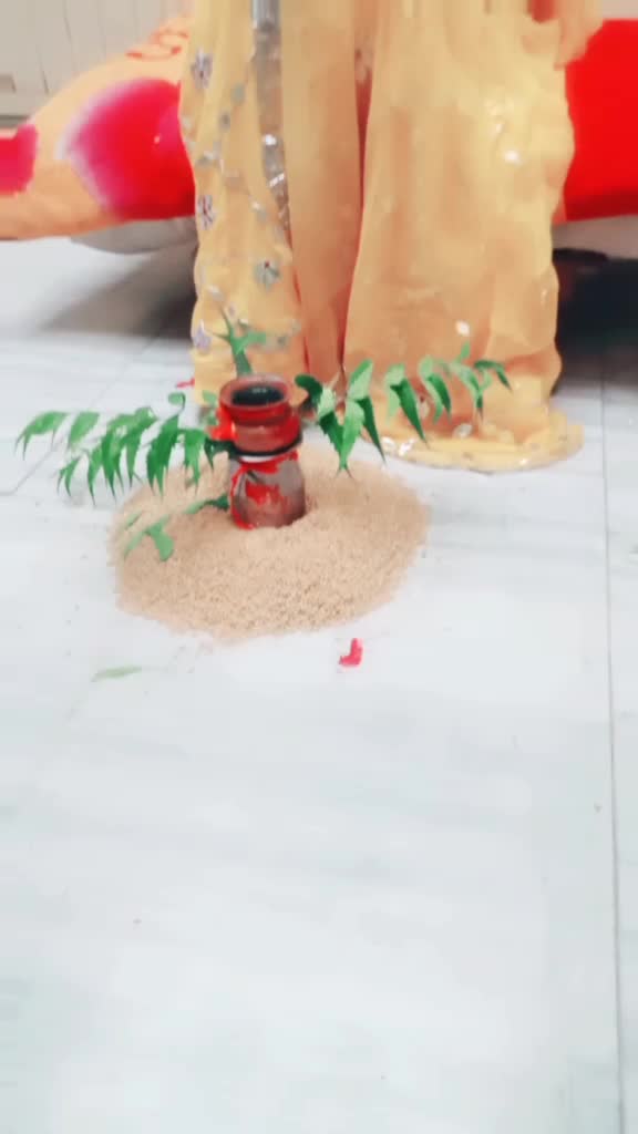 @ravina rajpurohit
