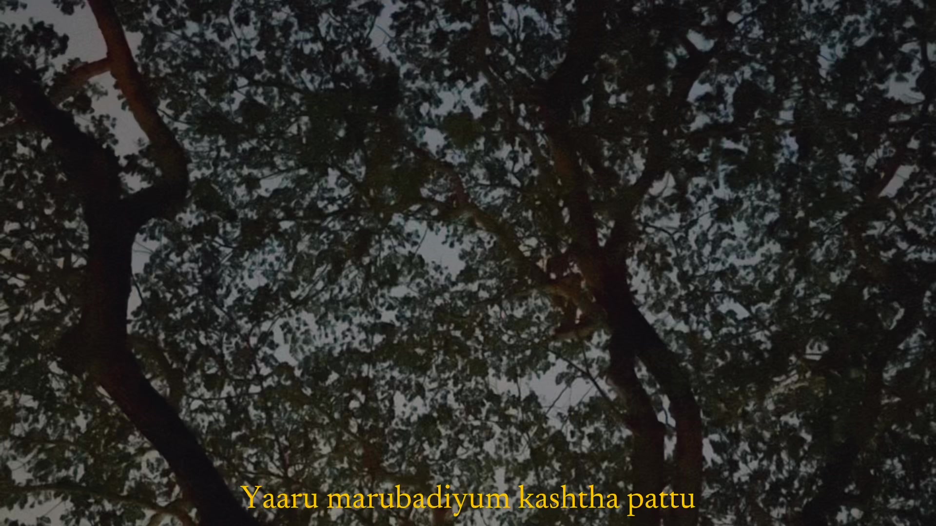 @Subha Letchumy