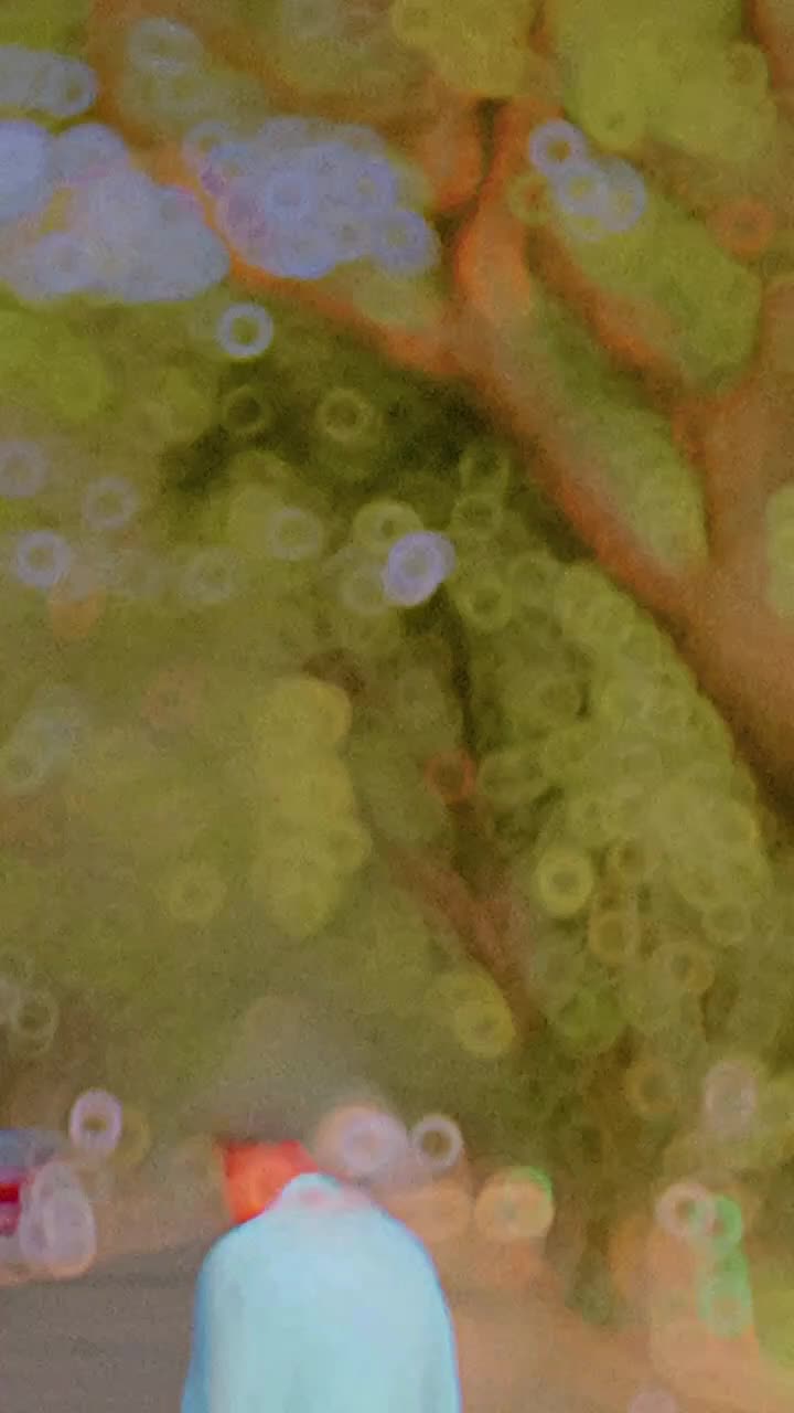 @~ ƬAƝƔƖƦ_♪