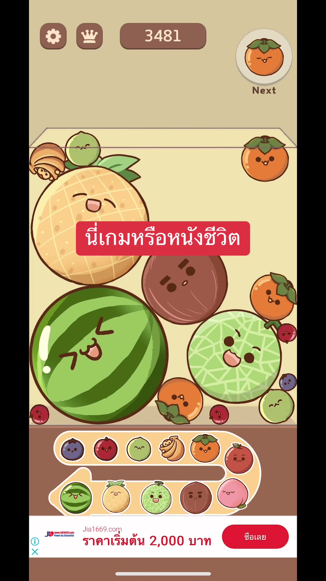 @แนนนัวงัวเงีย