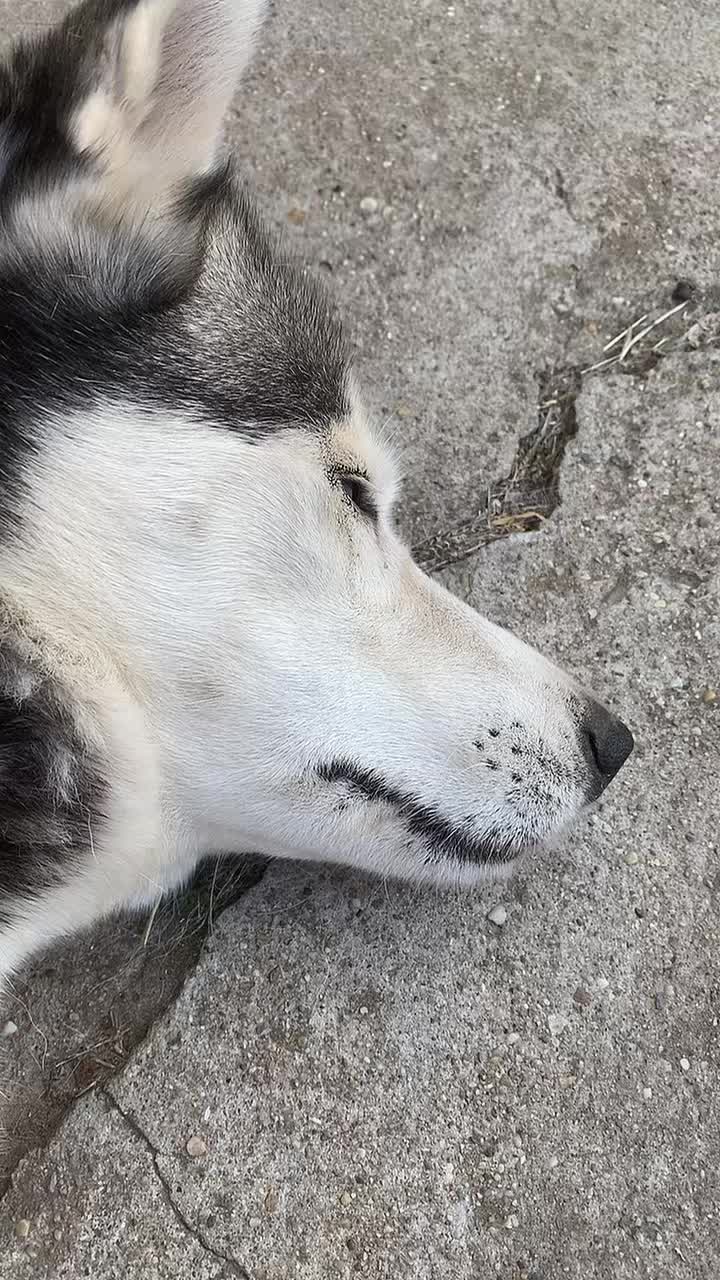 @Neli Káli, 🥰