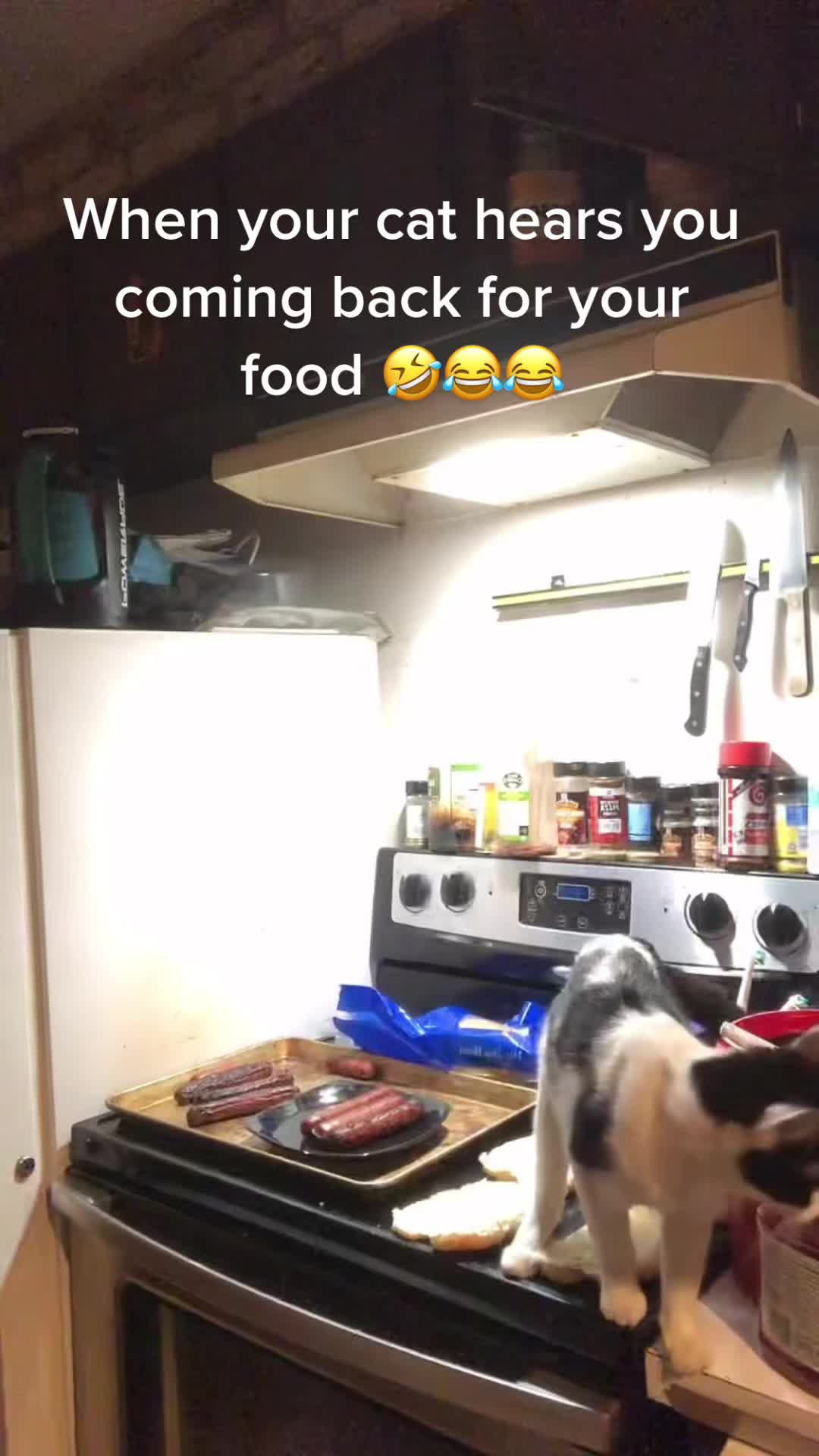@Sunsgodess2.0
