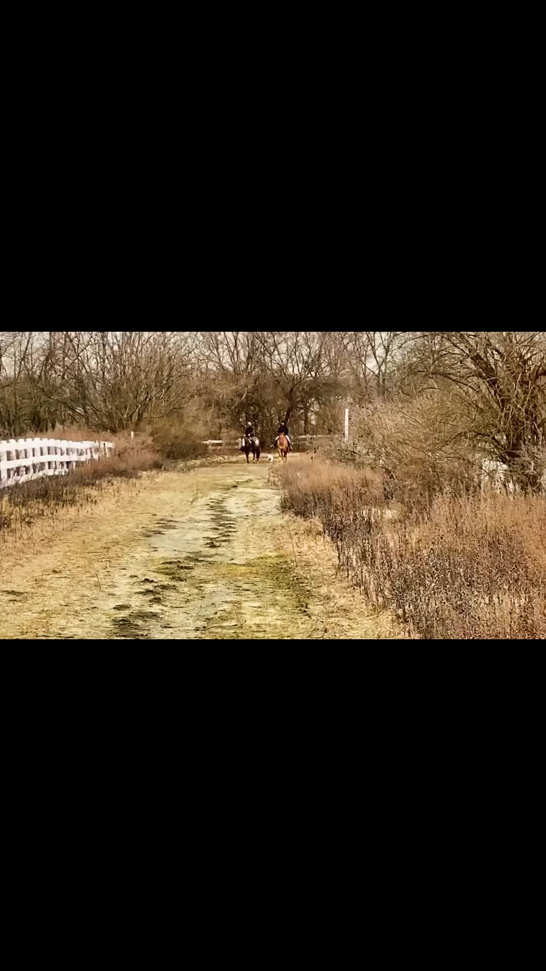 @Odin