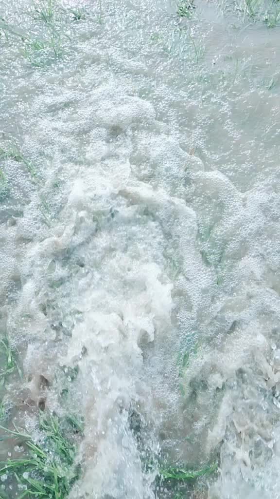 @Sartajansari