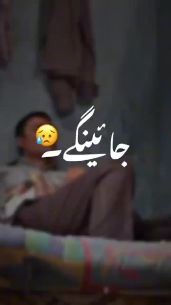 @𝕊𝕙𝕖𝕚𝕜𝕙☙Brand