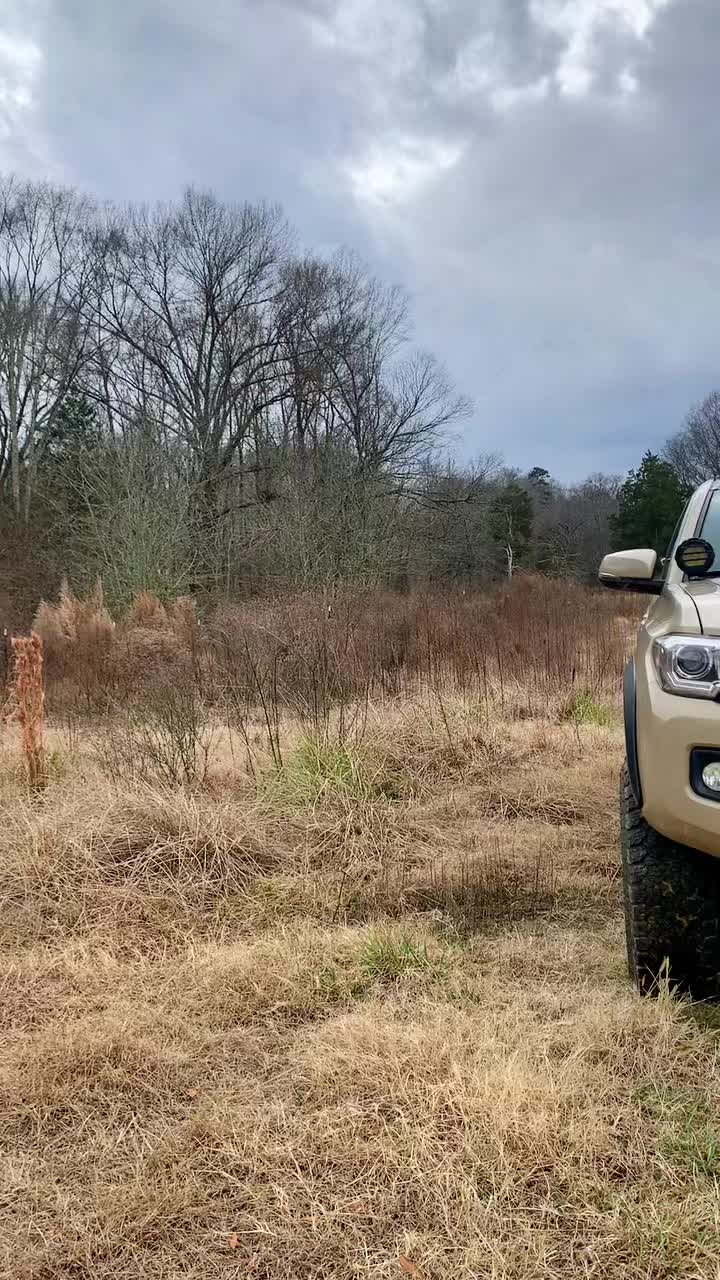@peyoteyota