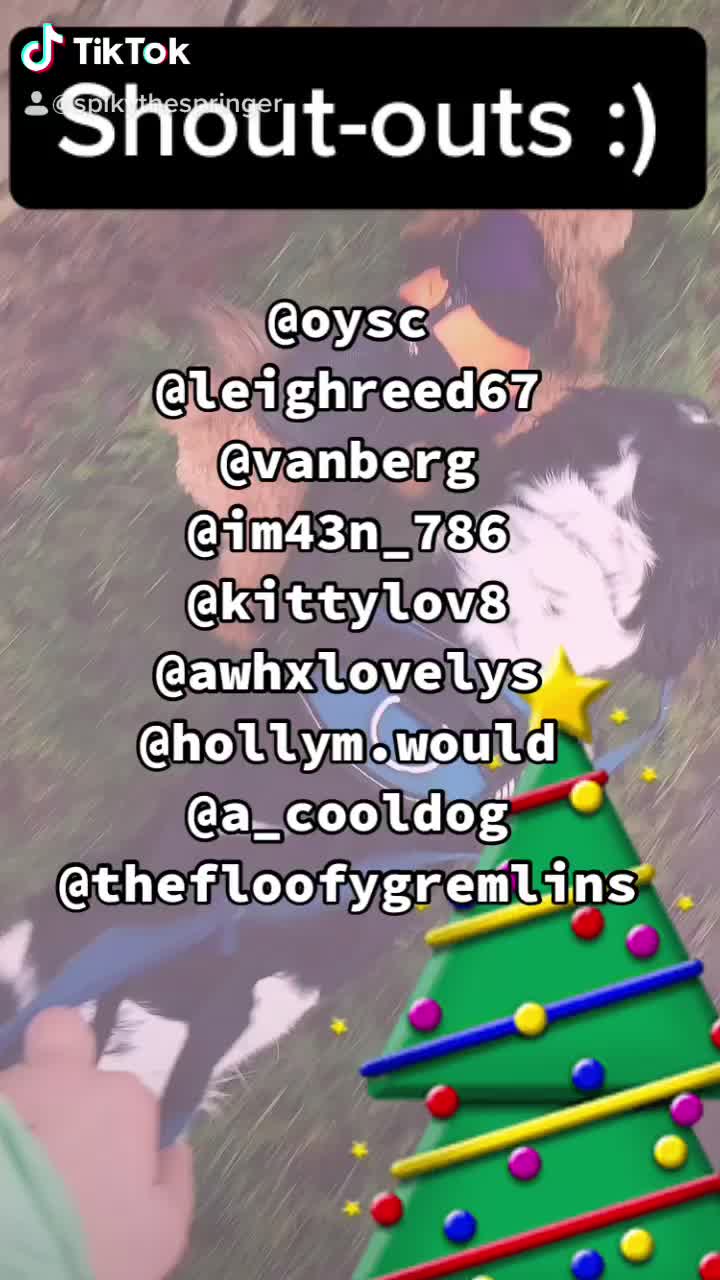 @𝚂𝚙𝚒𝚔𝚢 𝕓𝕖𝕟𝕛𝕚 ᑭᗩᑕO