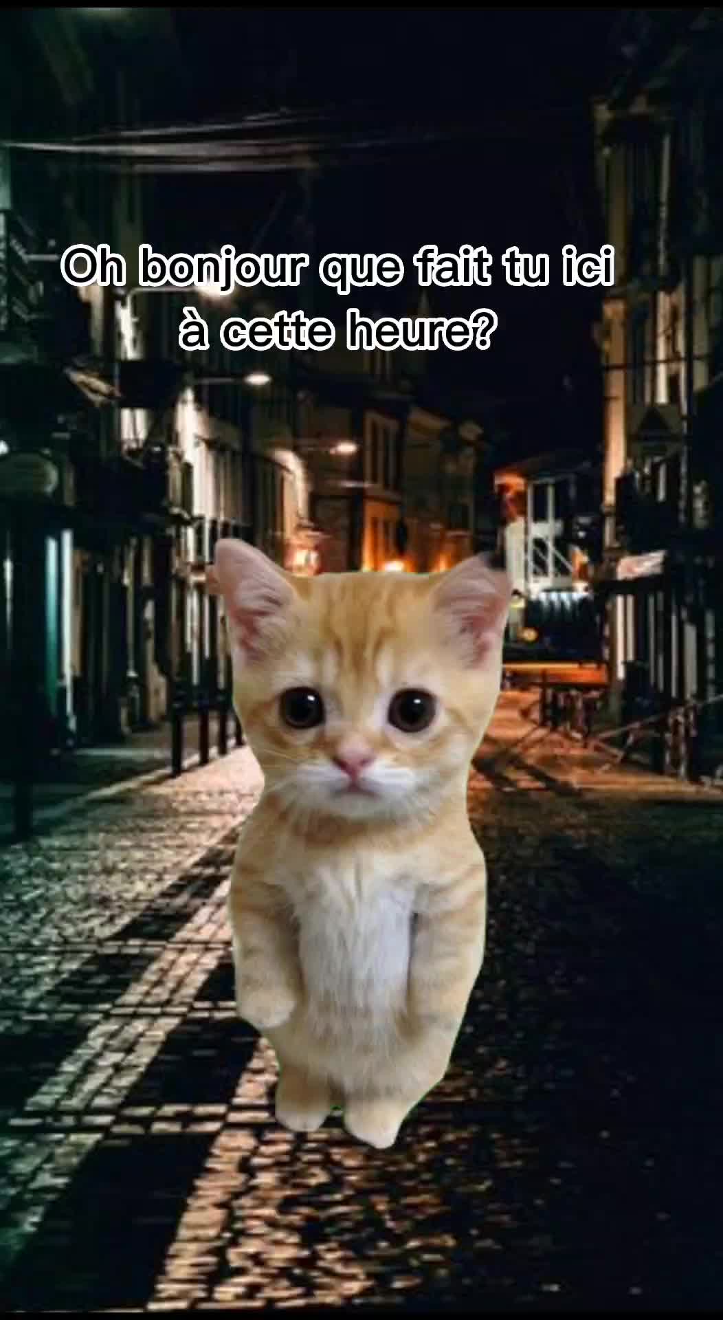 @el_gato__story