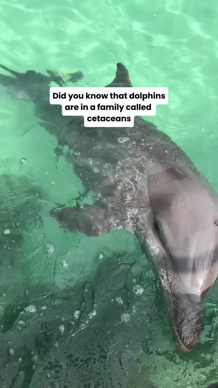 @Divernowmarine