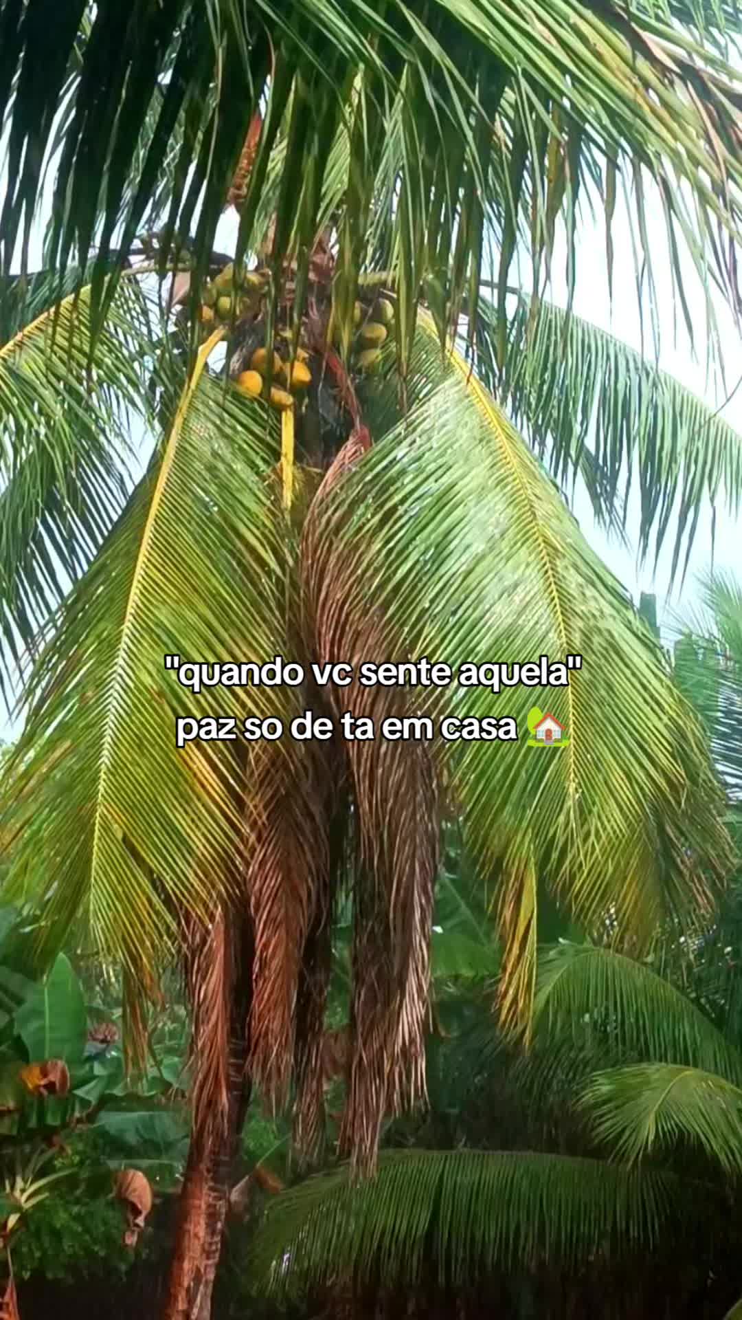 @liria🍃