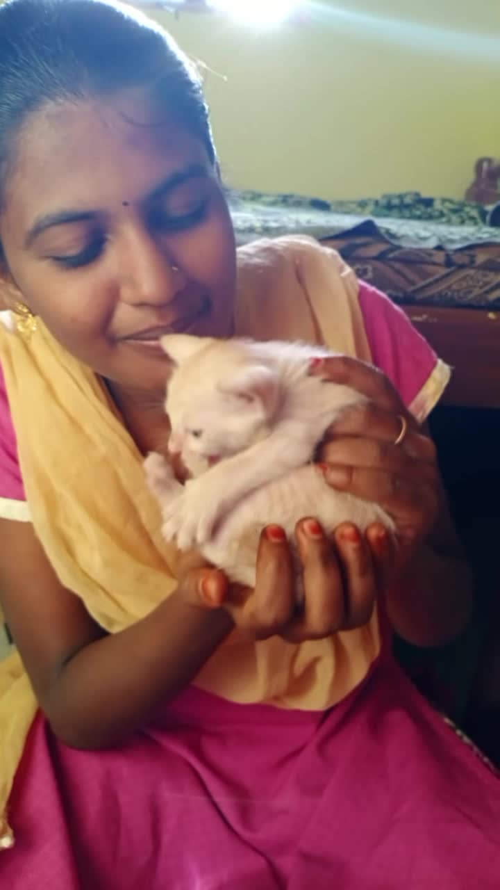 @darling bujji